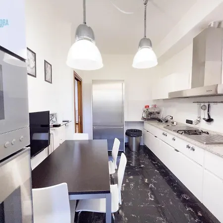 Reni 8 Tirabora Short Rent *